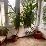 Bed & Breakfast La Magnolia - House Verona