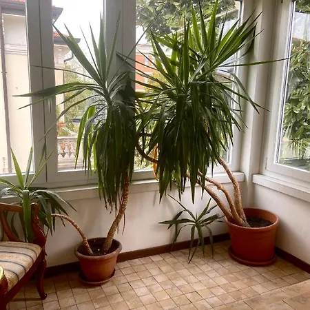 Couette-café Magnolia Vérone